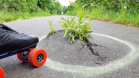 Rollschuh an einem Wurzelaufbruch | Foto: Klaus-Dieter Gutschmidt, "Rudy Quad-Skater" 